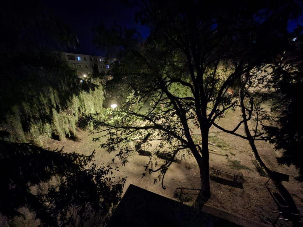 The Future Residence Sfântu-Gheorghe المظهر الخارجي الصورة